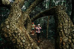 BIB: 
                            <button type="button" onclick="openModal(25701798)" class="btn btn-primary btn-sm float-right btn-popup" data-toggle="modal" data-target=".modal-high-quality">
                        <i class="fas fa-shopping-cart"></i> Add to Cart
                    </button>
                                            <button type="button" onclick="isThisMe(25701798, true)" class="btn btn-success btn-sm float-right btn-popup btn-isme hidden" data-toggle="tooltip" data-placement="bottom" title="นี่คือรูปของคุณใช่ไหม คลิกที่นี่เพื่อเอาเข้าอัลบั้ม">
                        <i class="fas fa-plus"></i> Add to album
                    </button>
                    <button type="button" onclick="isThisMe(25701798, false)" class="btn btn-warning btn-sm float-right btn-popup btn-isnotme hidden">
                        <i class="fas fa-ban"></i> Remove from album
                    </button>